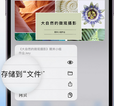 畅好乡apple维修中心分享iPhone文件应用中存储和找到下载文件