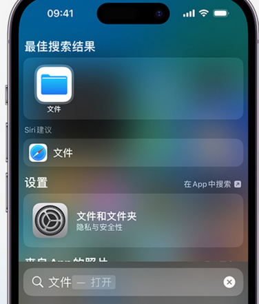 畅好乡apple维修中心分享iPhone文件应用中存储和找到下载文件 