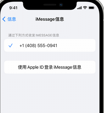 畅好乡apple维修iPhone上无法正常发送iMessage信息