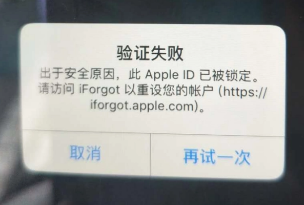 畅好乡iPhone维修分享iPhone上正常登录或使用AppleID怎么办 