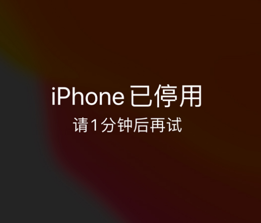 畅好乡苹果手机维修分享:iPhone 显示“不可用”或“已停用”怎么办？还能保留数据吗？ 