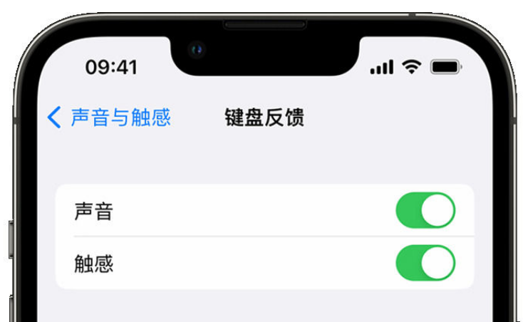 畅好乡苹果手机维修分享iPhone 14触感键盘使用方法 