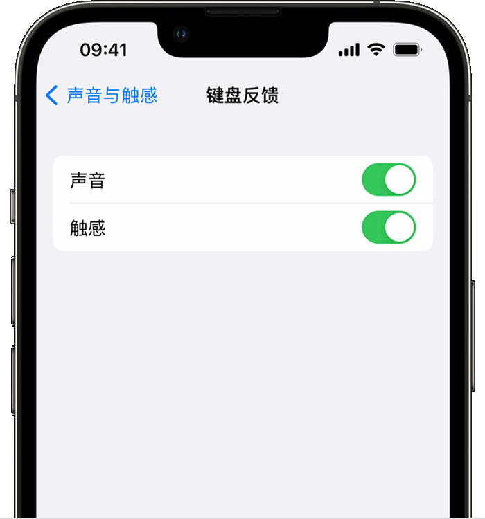 畅好乡苹果14维修店分享如何在 iPhone 14 机型中使用触感键盘 