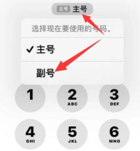 畅好乡苹果14维修店分享iPhone 14 Pro Max使用副卡打电话的方法 