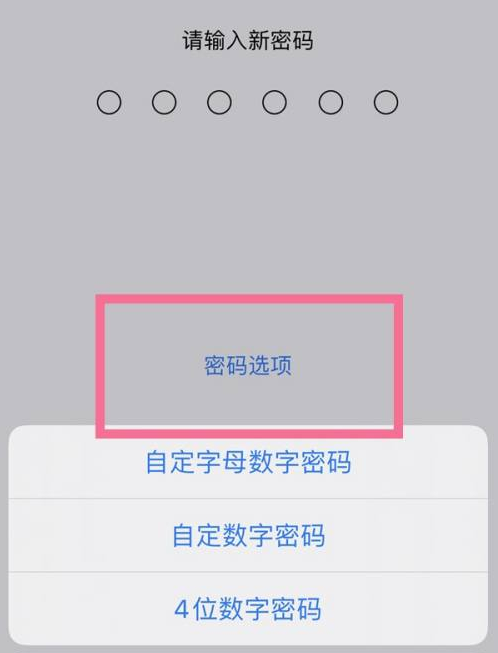 畅好乡苹果14维修分享iPhone 14plus设置密码的方法 