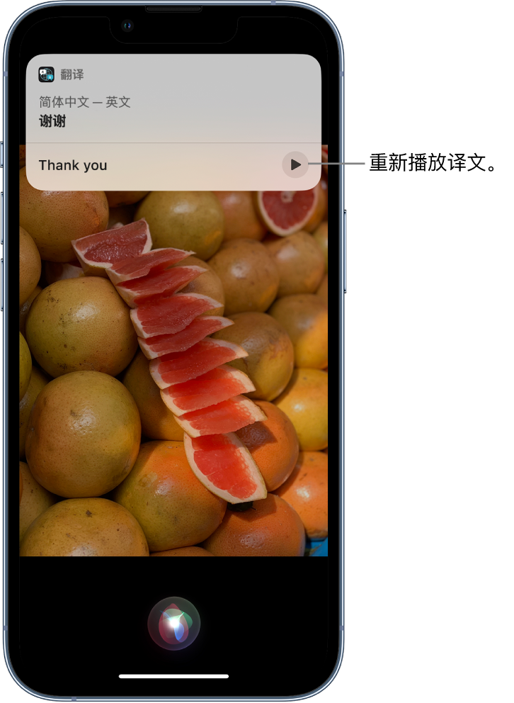 畅好乡苹果14维修分享 iPhone 14 机型中使用 Siri：了解 Siri 能帮你做什么 