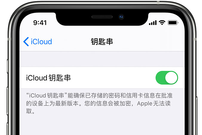 畅好乡苹果手机维修分享在 iPhone 上开启 iCloud 钥匙串之后会储存哪些信息 